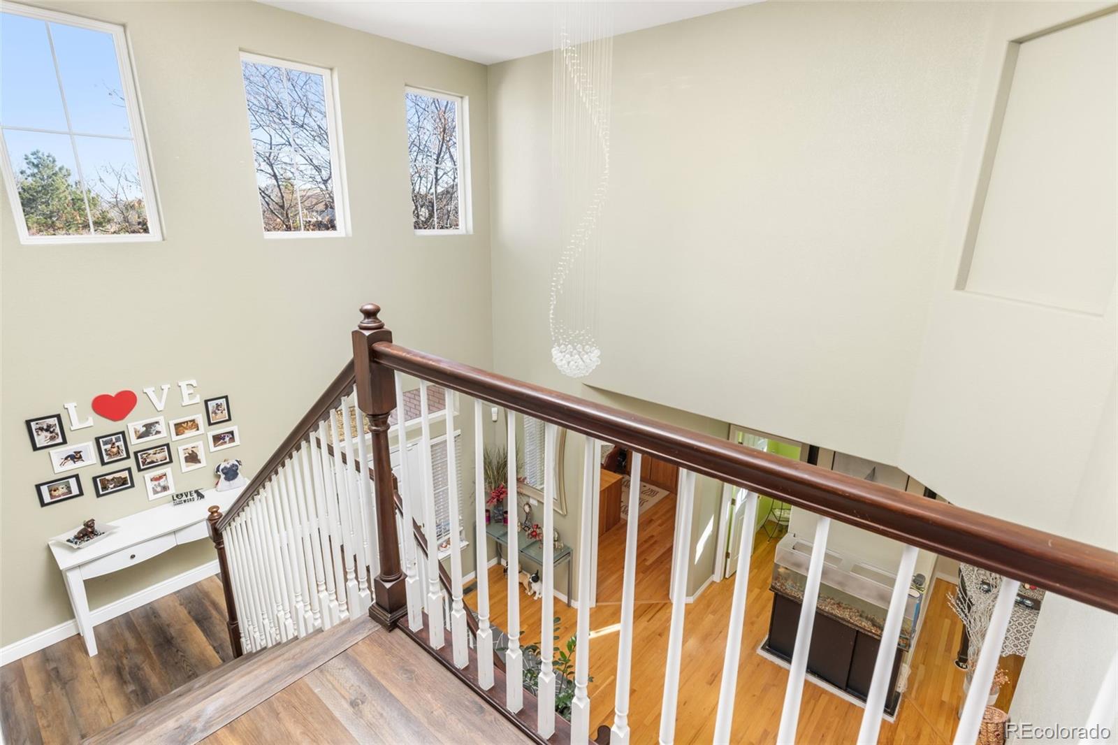 10899 Bobcat Terrace Lone Tree CO 80124