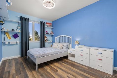 10899 Bobcat Terrace Lone Tree CO 80124