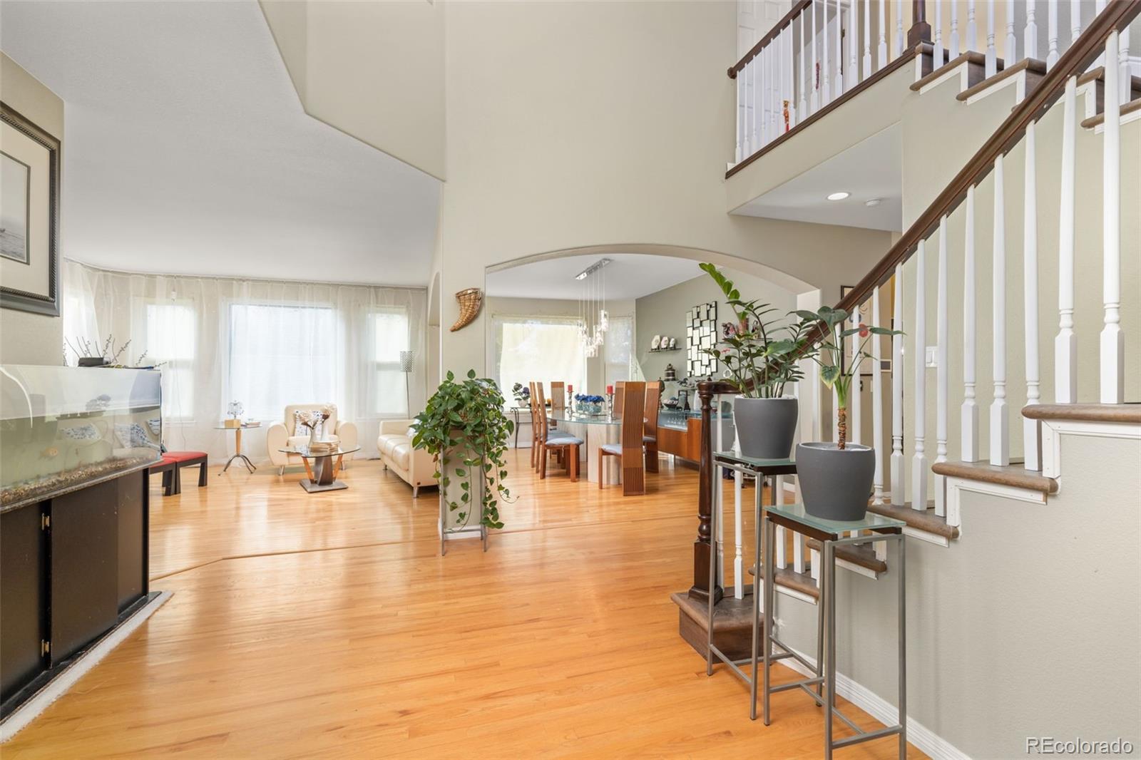 10899 Bobcat Terrace Lone Tree CO 80124