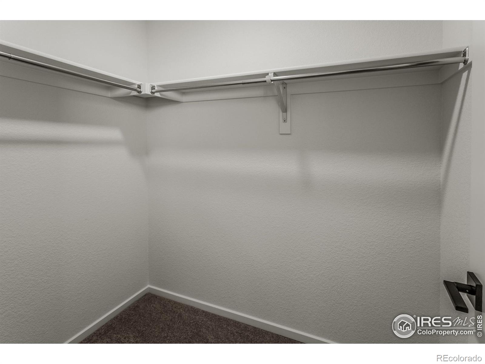 3146 Tourmaline Place Fort Collins CO 80524