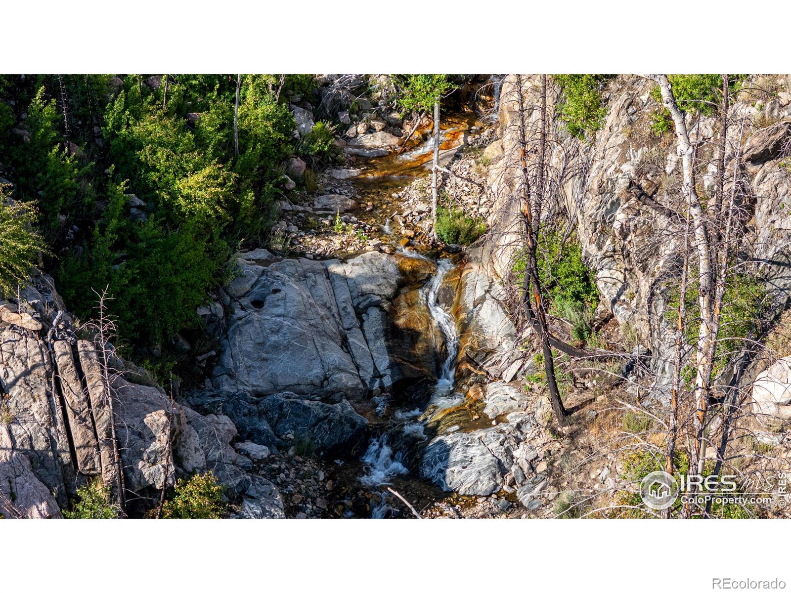 37797 W Highway 14 Bellvue CO 80512