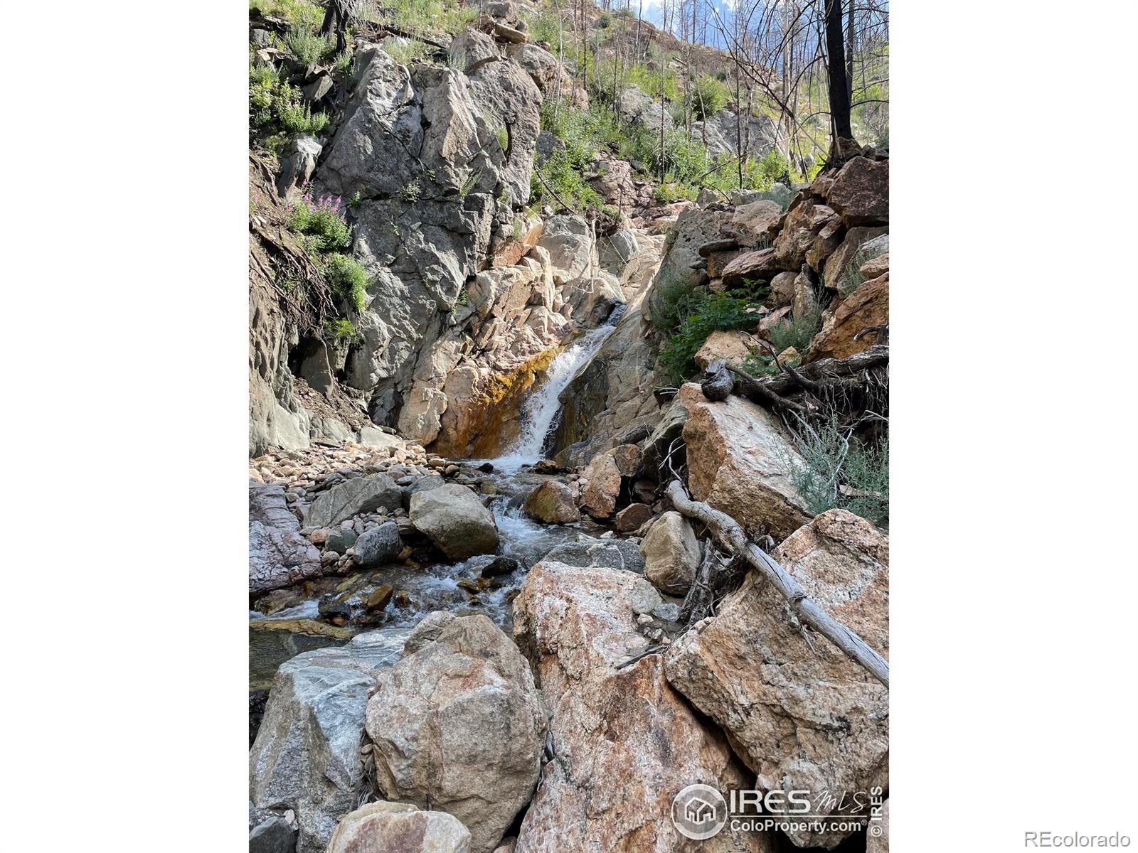 37797 W Highway 14 Bellvue CO 80512