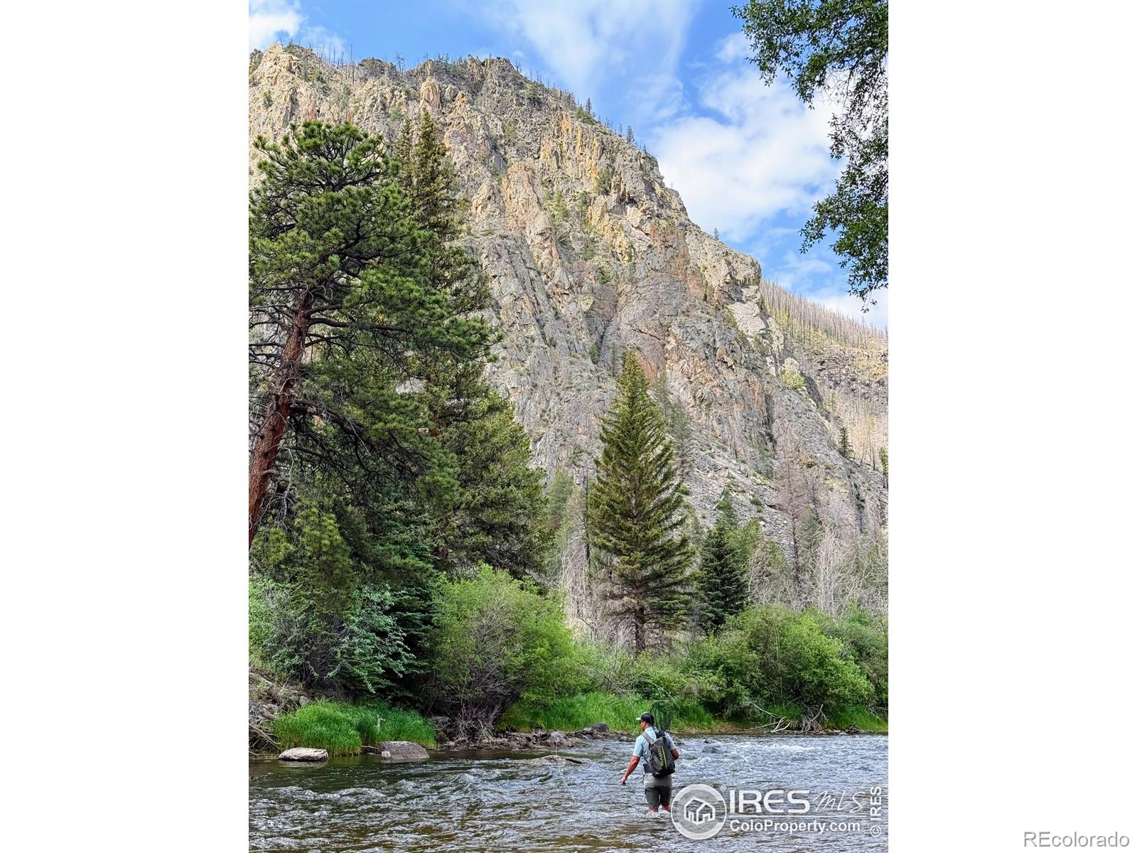 37797 W Highway 14 Bellvue CO 80512