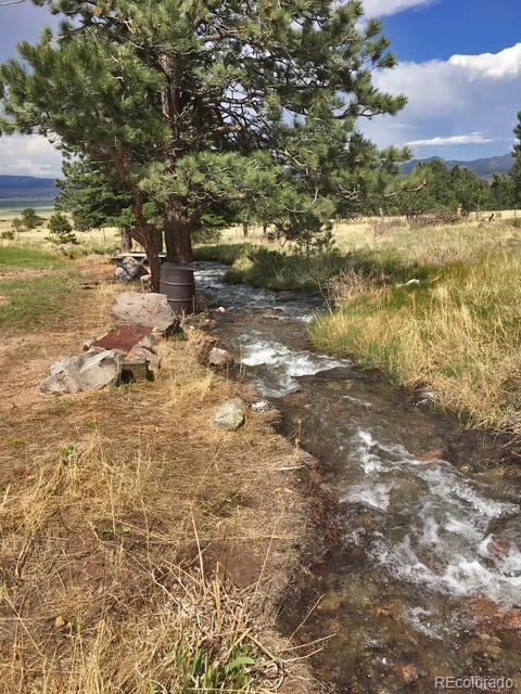 62 Rubel Circle Westcliffe CO 81252