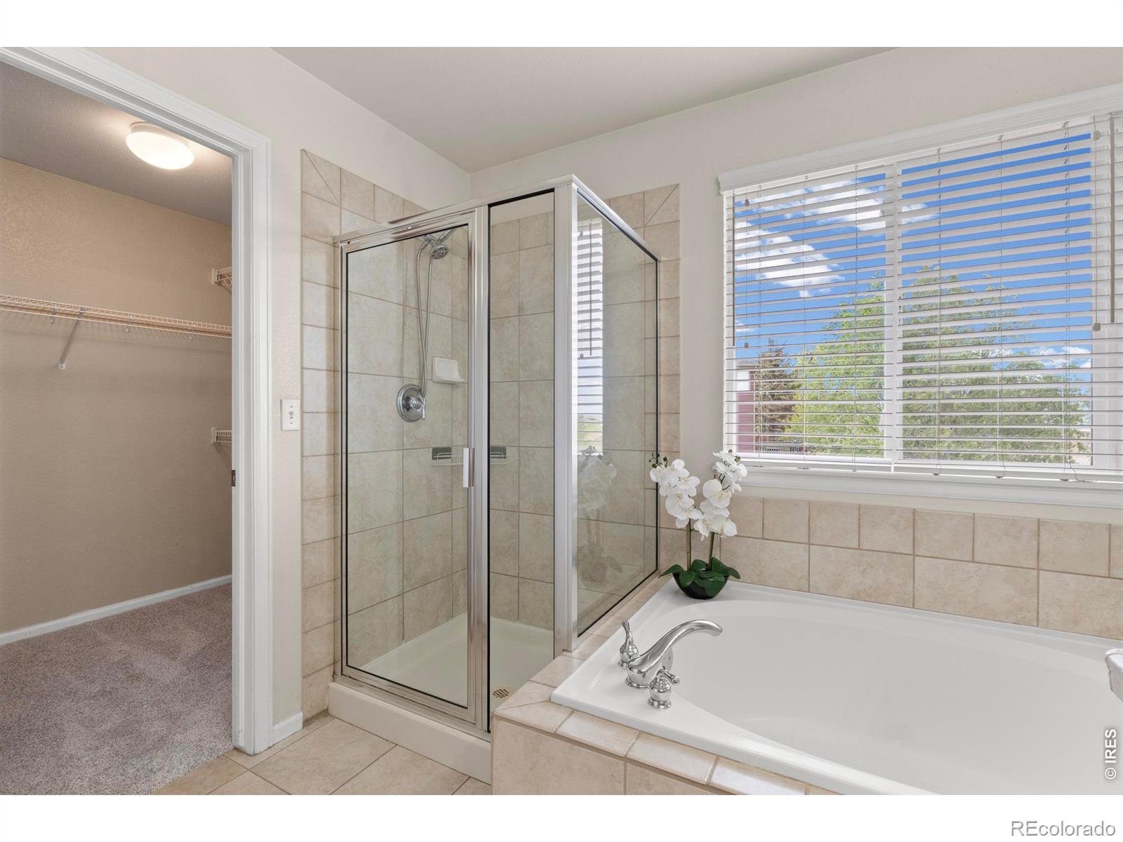 2626 Canby Way Fort Collins CO 80525