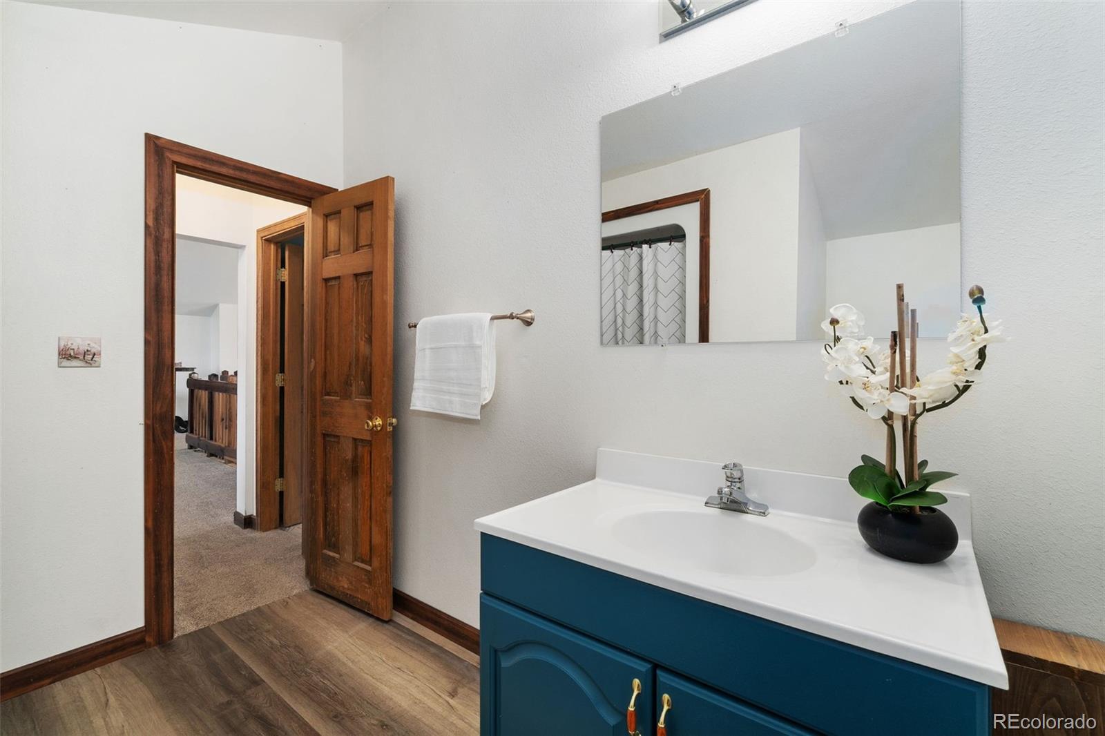 1084 Iron Mountain Drive Livermore CO 80536