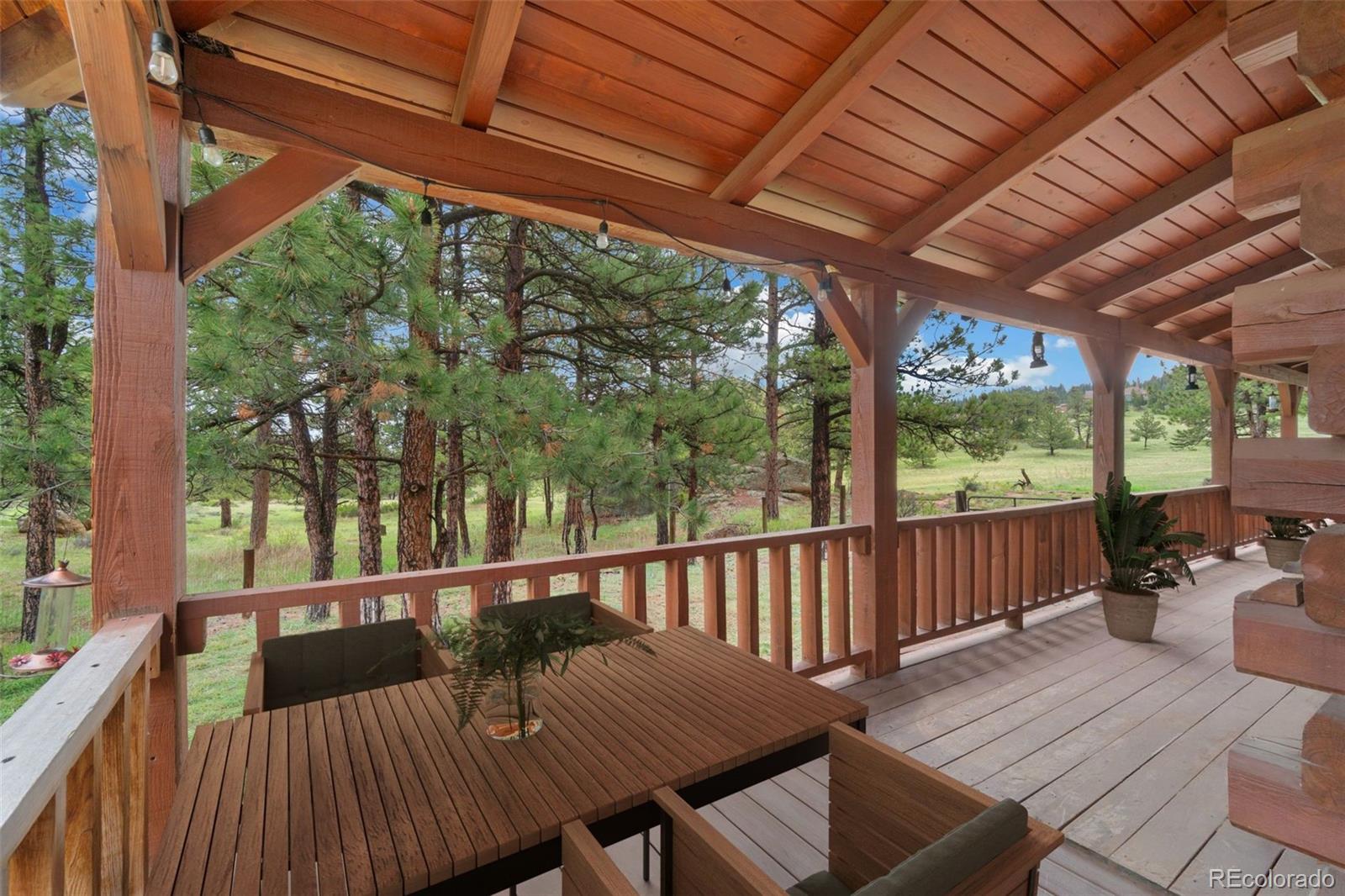 1084 Iron Mountain Drive Livermore CO 80536