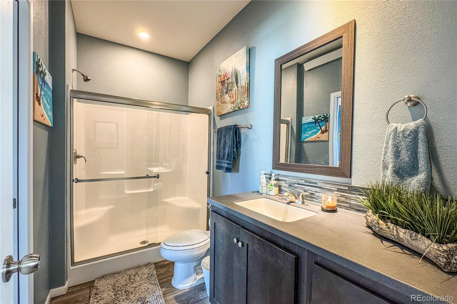 224 Barnwood Drive Buena Vista CO 81211