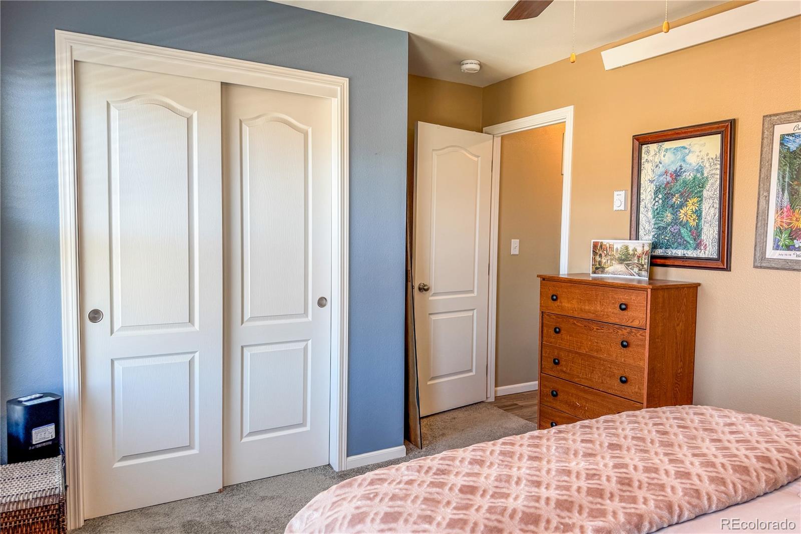 224 Barnwood Drive Buena Vista CO 81211