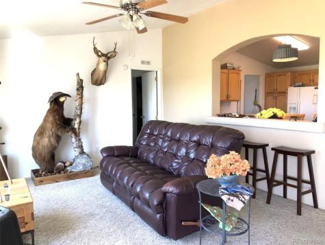 1983 Arapahoe Road Hartsel CO 80449