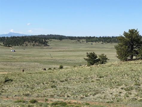 1983 Arapahoe Road Hartsel CO 80449