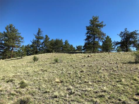 1983 Arapahoe Road Hartsel CO 80449