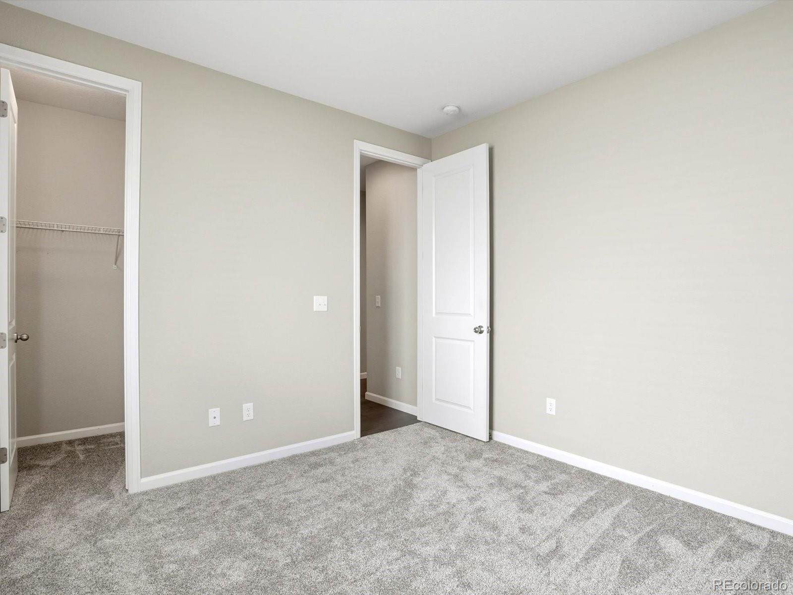 6695 Petunia Place Castle Rock CO 80108
