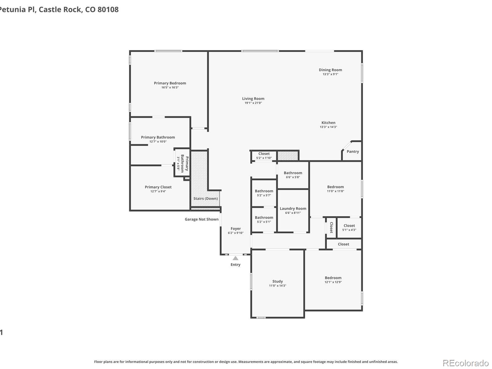 6695 Petunia Place Castle Rock CO 80108