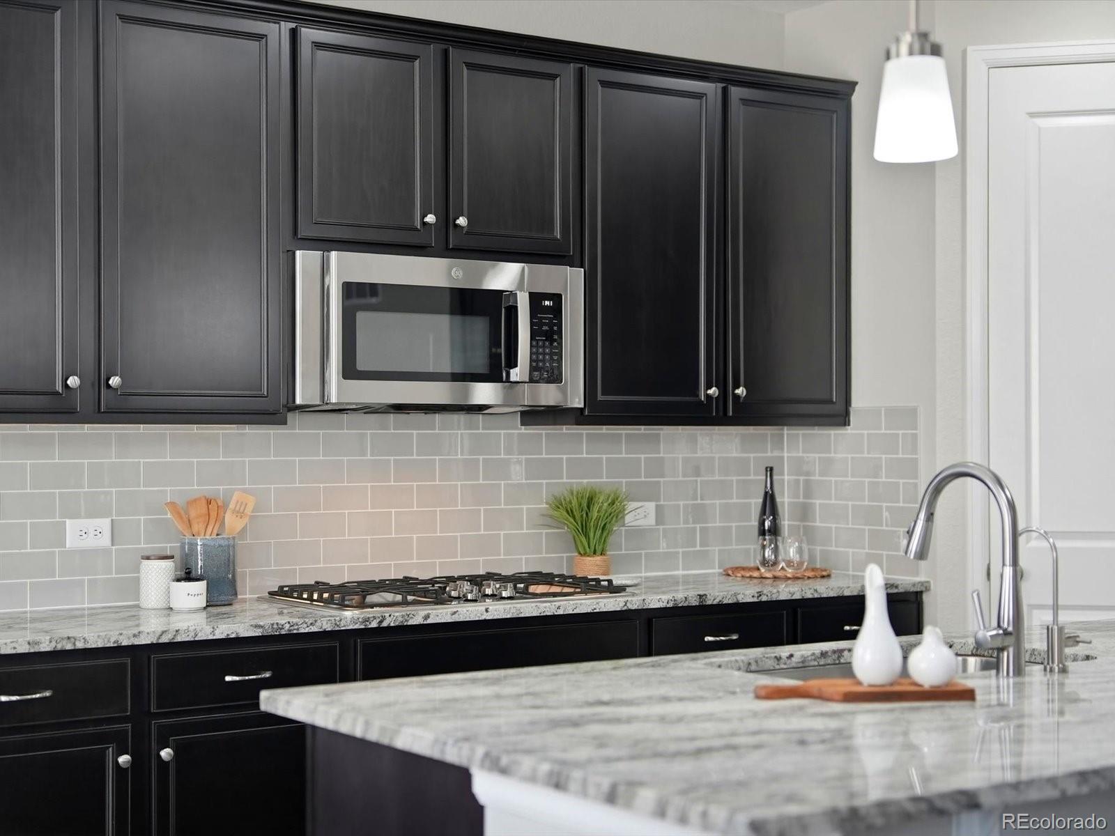 6695 Petunia Place Castle Rock CO 80108
