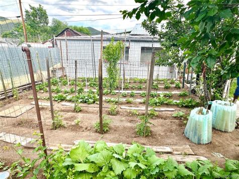 647 D Street Salida CO 81201