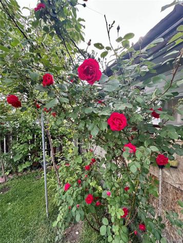 647 D Street Salida CO 81201