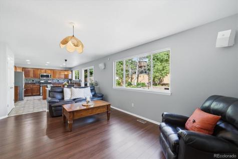 4579 Laurelglen Lane Highlands Ranch CO 80130