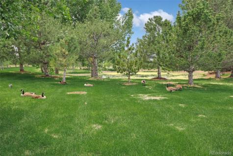 15922 Torreys Way Broomfield CO 80023