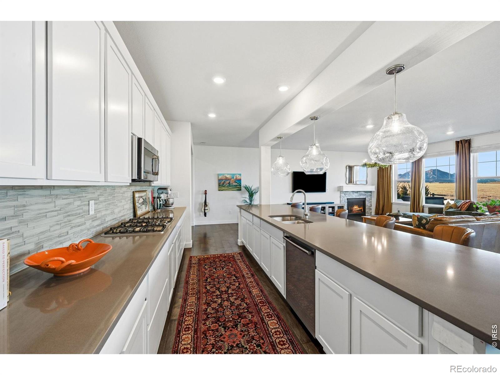 19133 W 95th Lane Arvada CO 80007