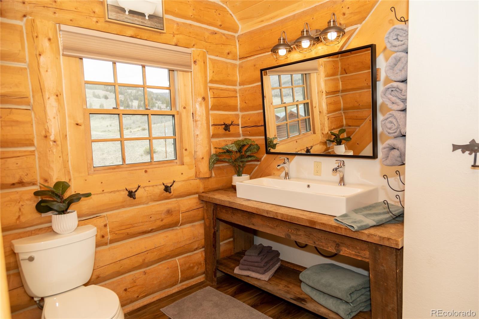 115 Dabney Court Creede CO 81130