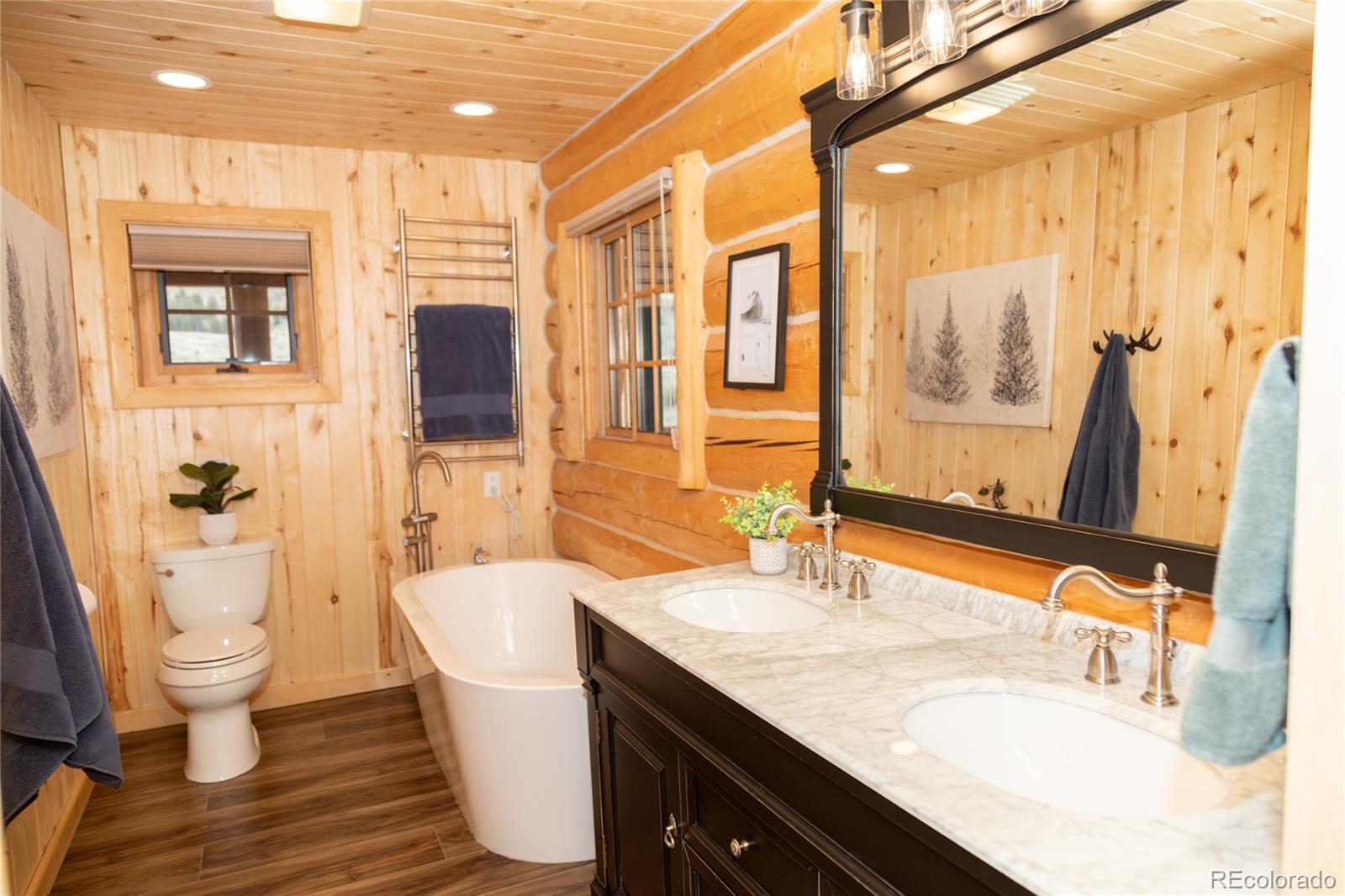 115 Dabney Court Creede CO 81130