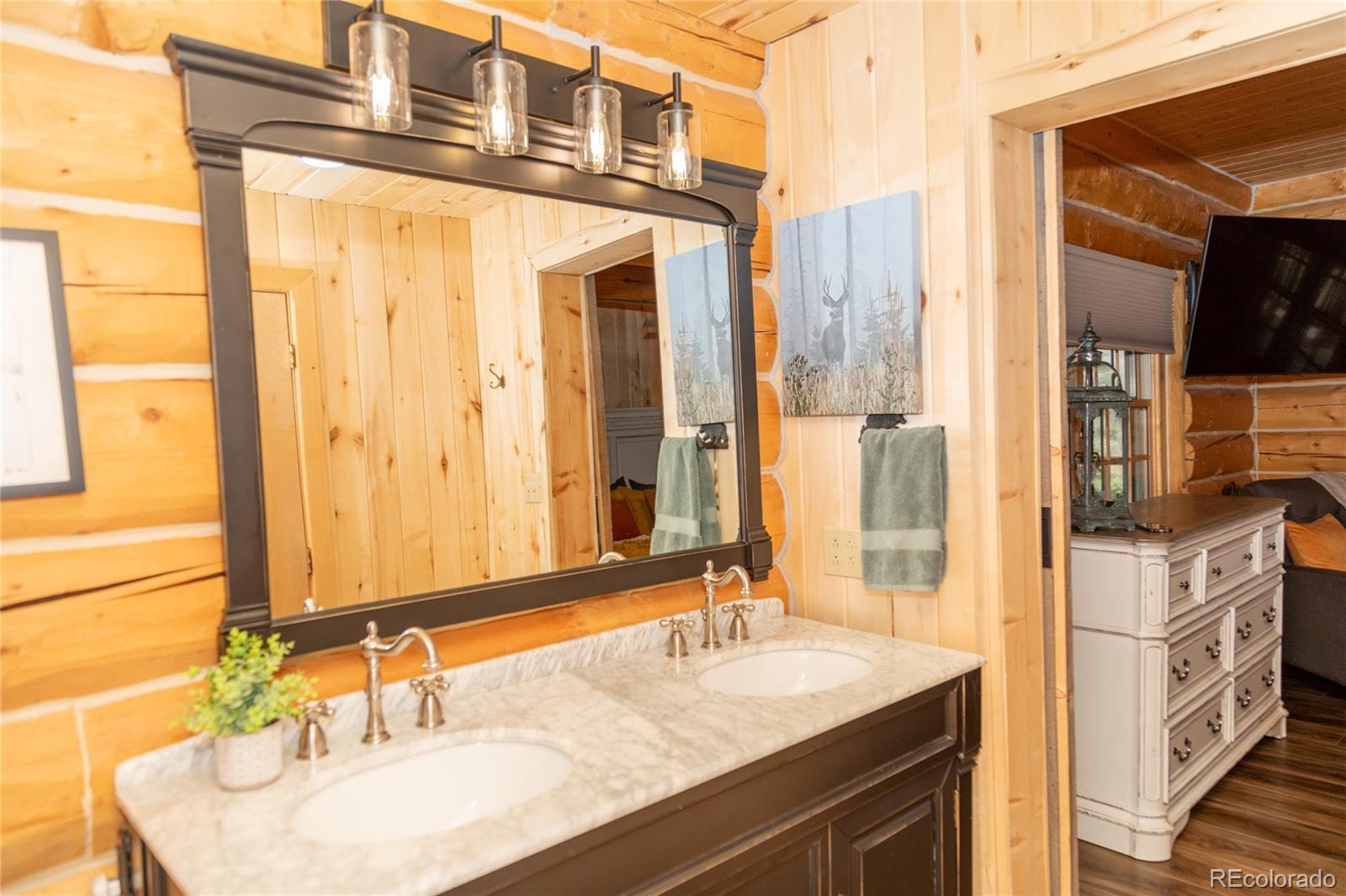 115 Dabney Court Creede CO 81130