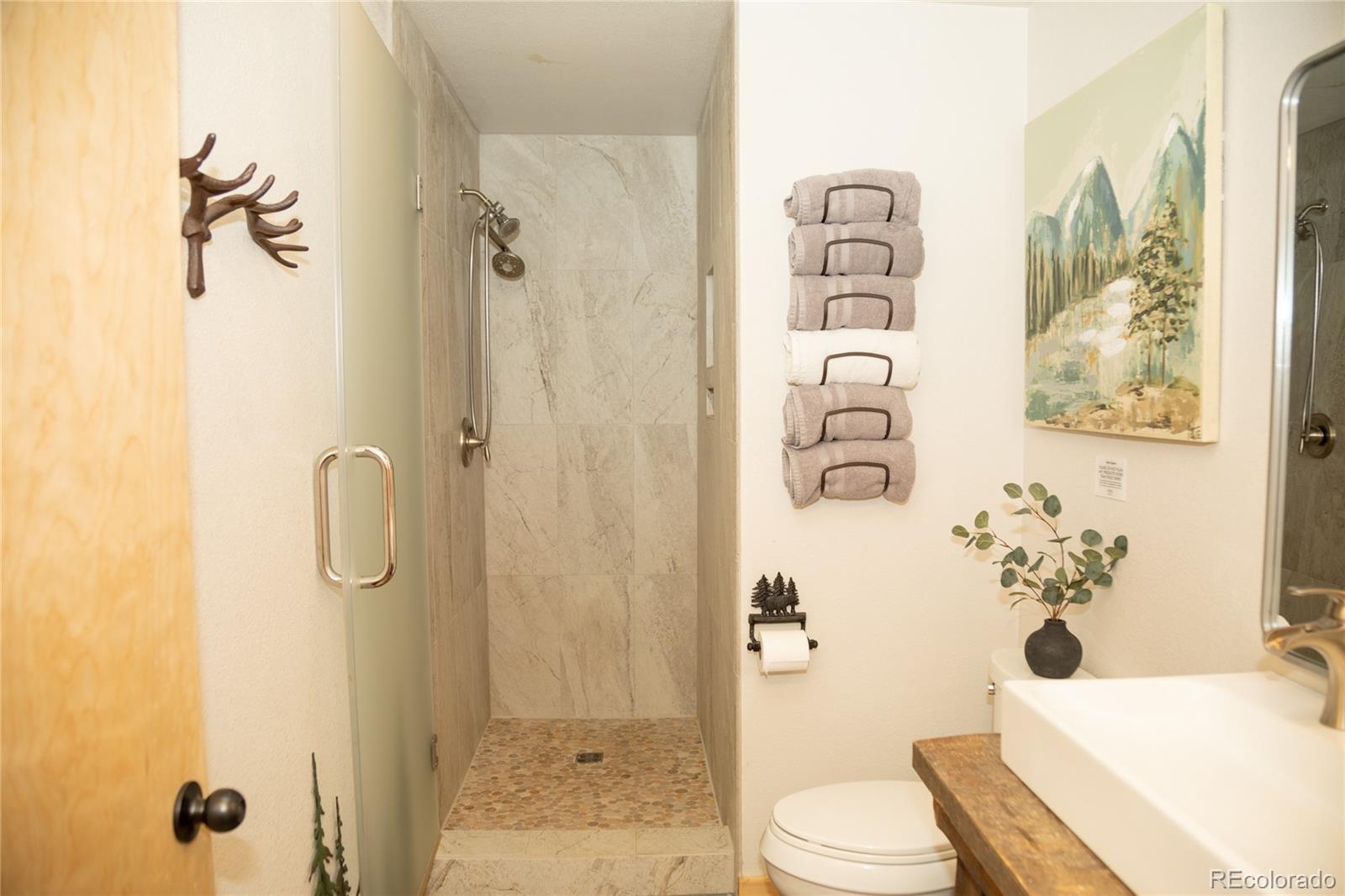 115 Dabney Court Creede CO 81130