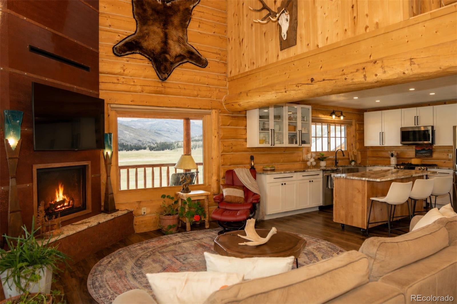 115 Dabney Court Creede CO 81130