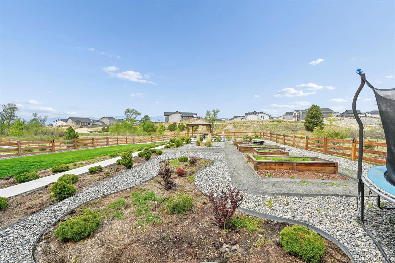 9776 Antelope Ravine Drive Colorado Springs CO 80908