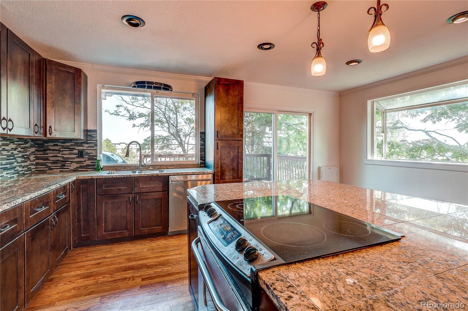 13678 Omega Circle Lone Tree CO 80124