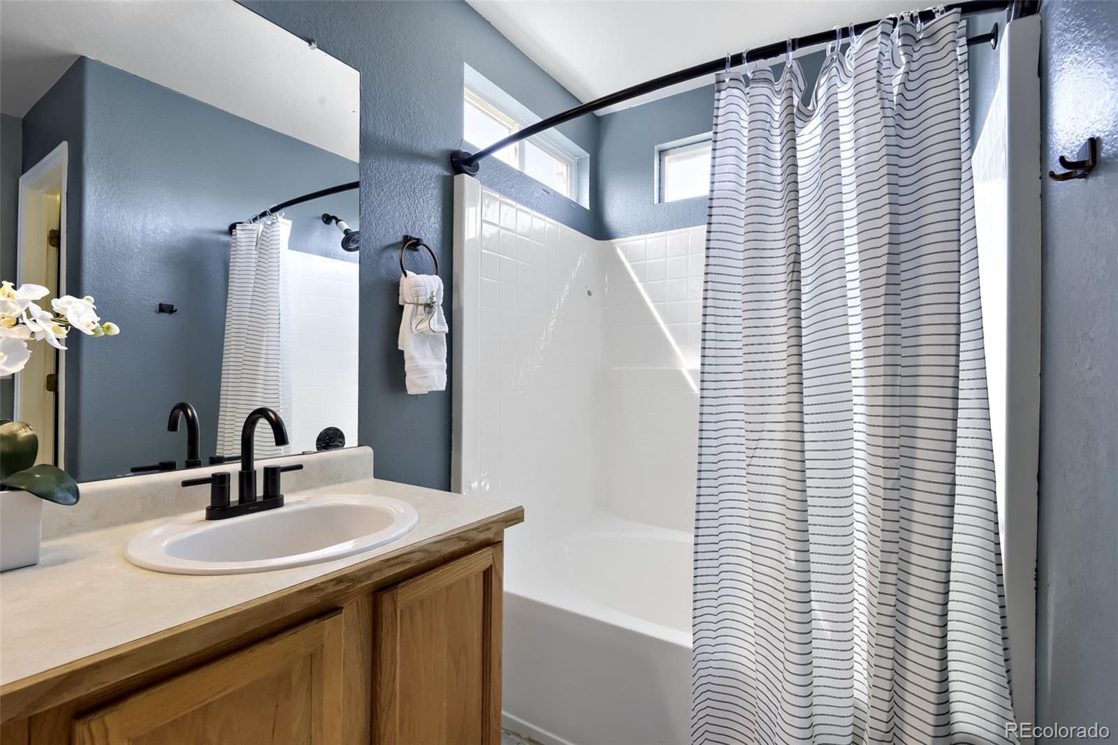 4889 Thorndike Avenue Castle Rock CO 80104