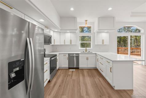 2095 Mullenville Road Fairplay CO 80440