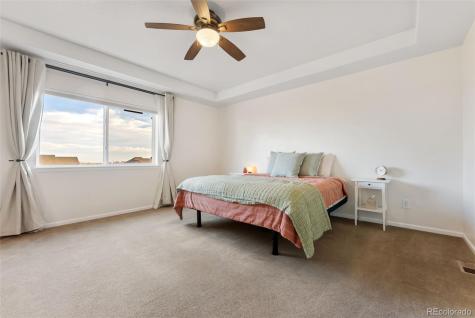 5747 Leon Young Drive Colorado Springs CO 80924