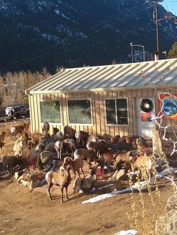 1615 County Road 308 Dumont CO 80436