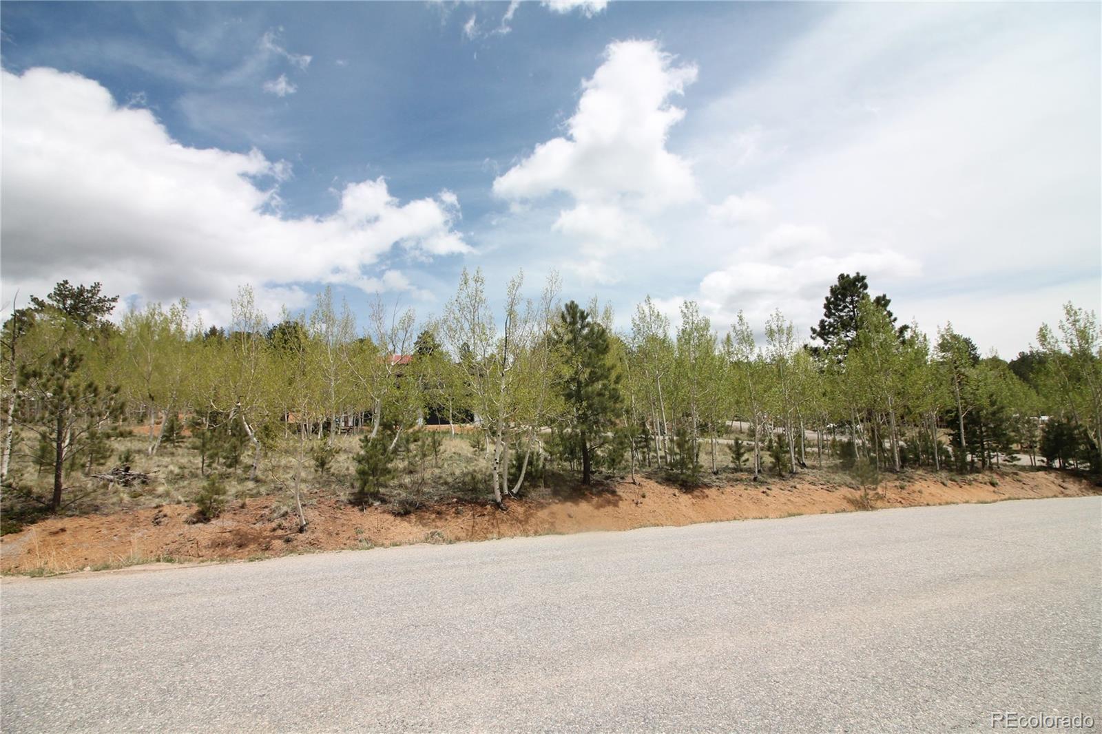 388 Clark Road Bailey CO 80421