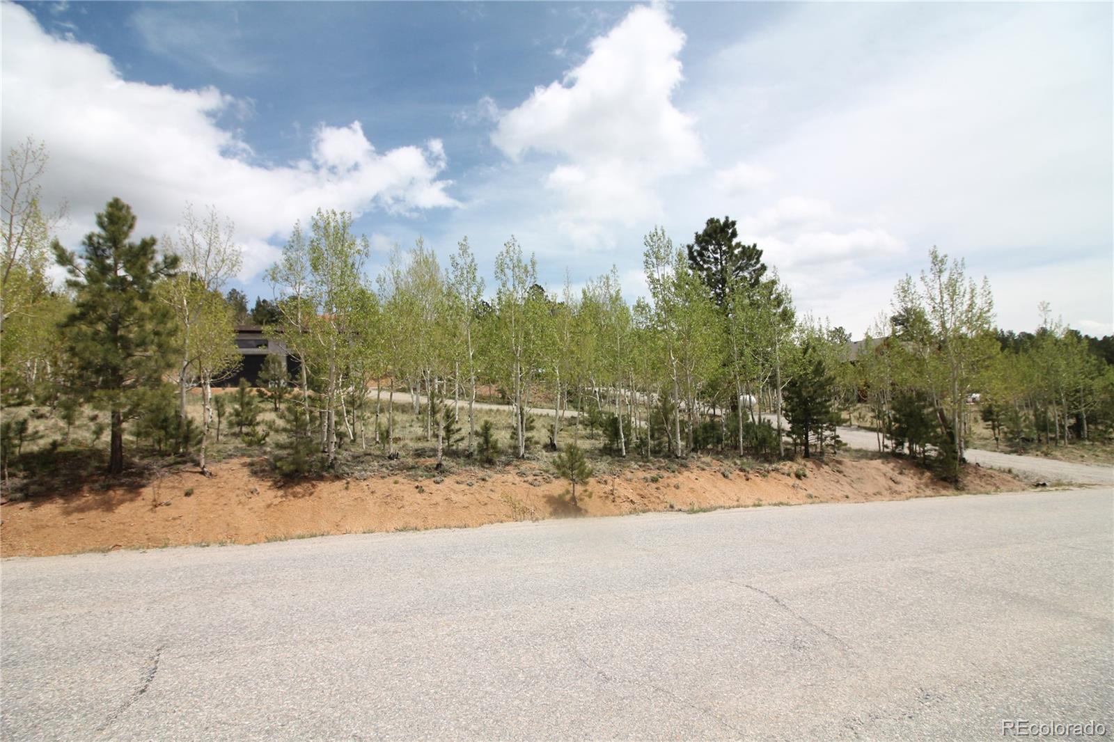 388 Clark Road Bailey CO 80421