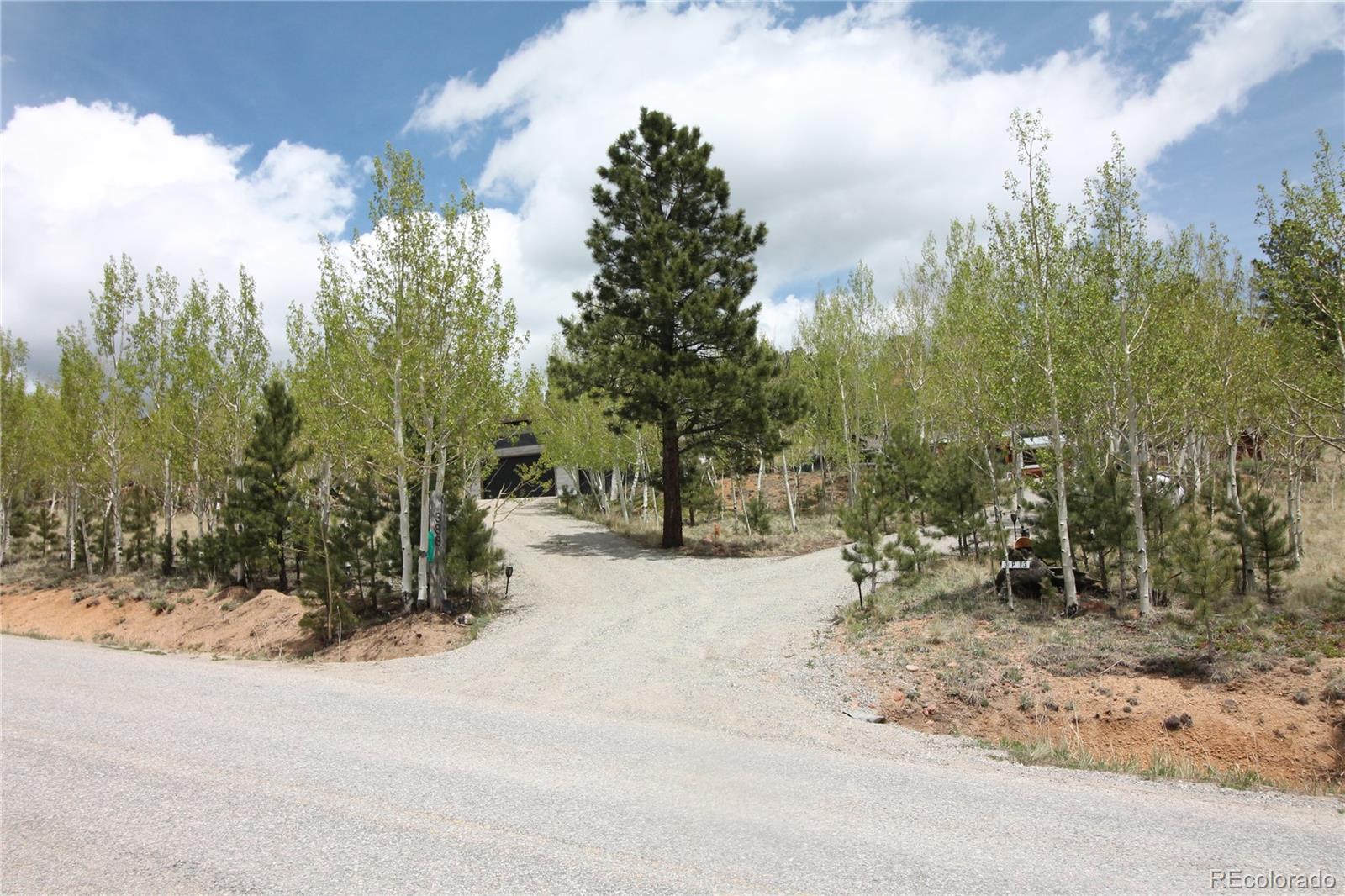 388 Clark Road Bailey CO 80421