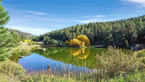 279 Wisp Creek Drive Bailey CO 80421