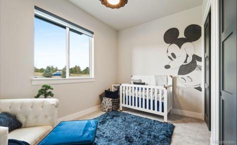 15271 Allen Ranch Road Colorado Springs CO 80908