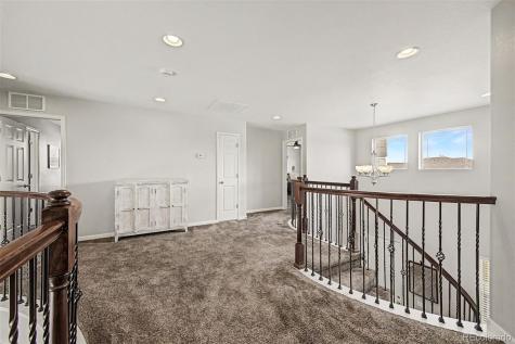 1115 Lucky Court Castle Rock CO 80109