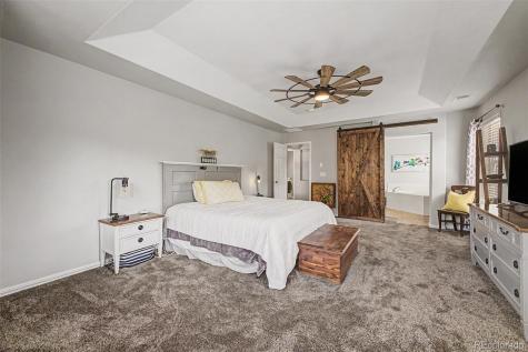 1115 Lucky Court Castle Rock CO 80109
