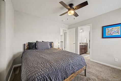 1115 Lucky Court Castle Rock CO 80109