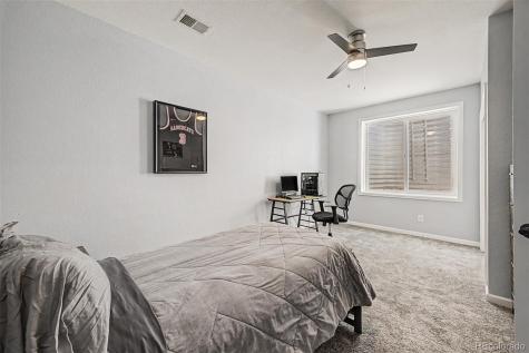 1115 Lucky Court Castle Rock CO 80109
