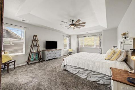 1115 Lucky Court Castle Rock CO 80109
