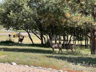 747 Red Deer Road Franktown CO 80116