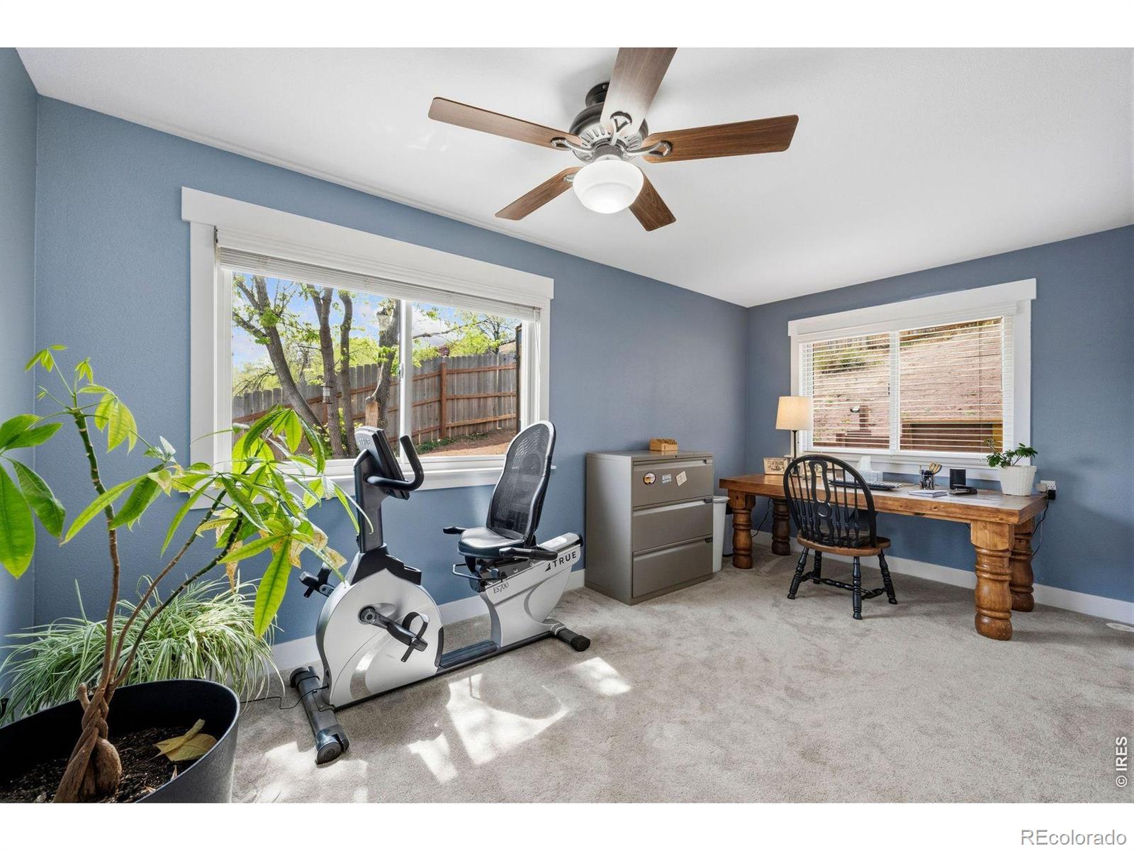 4241 Kano Drive Fort Collins CO 80526