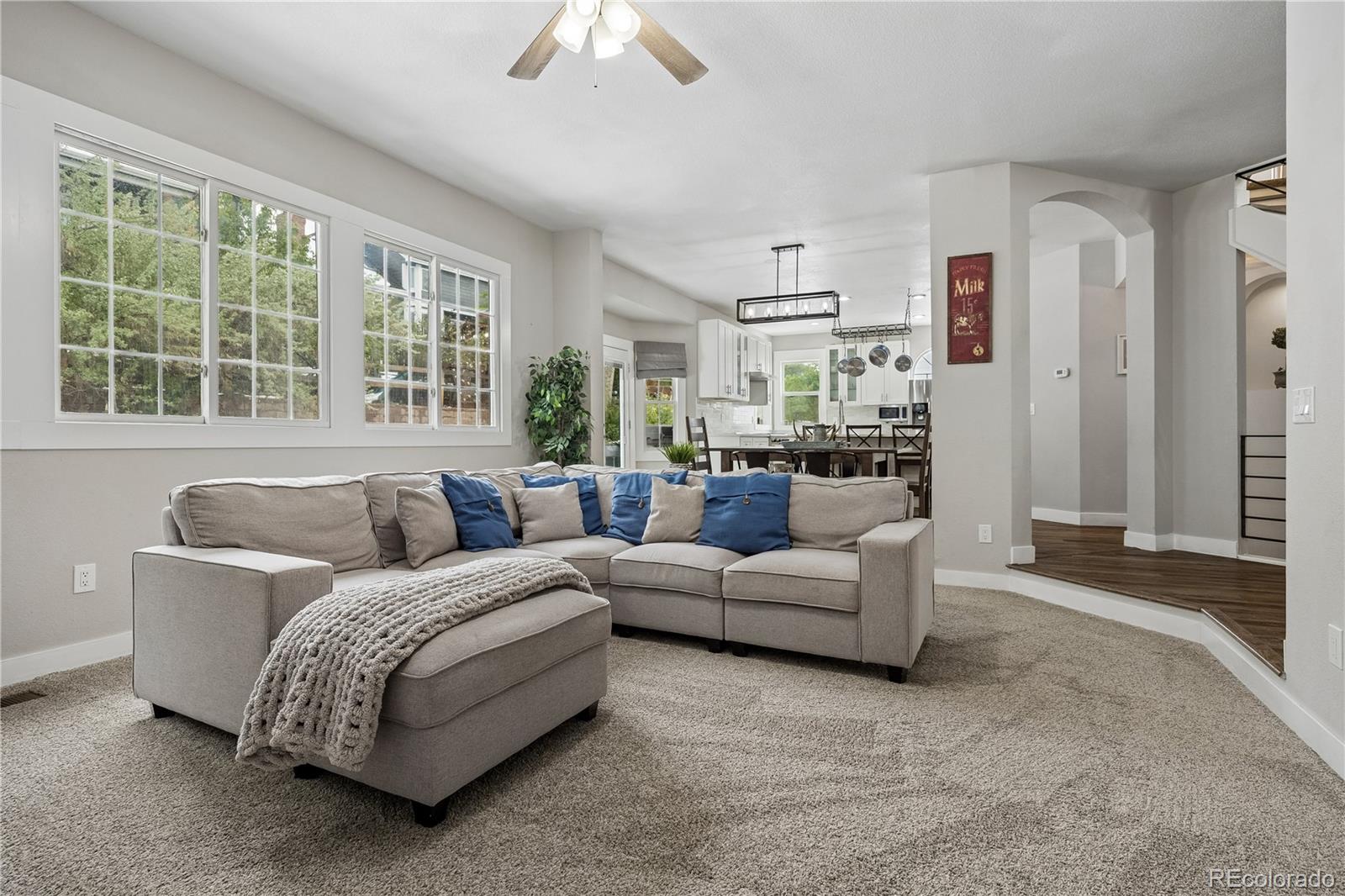 117 Willowleaf Drive Littleton CO 80127