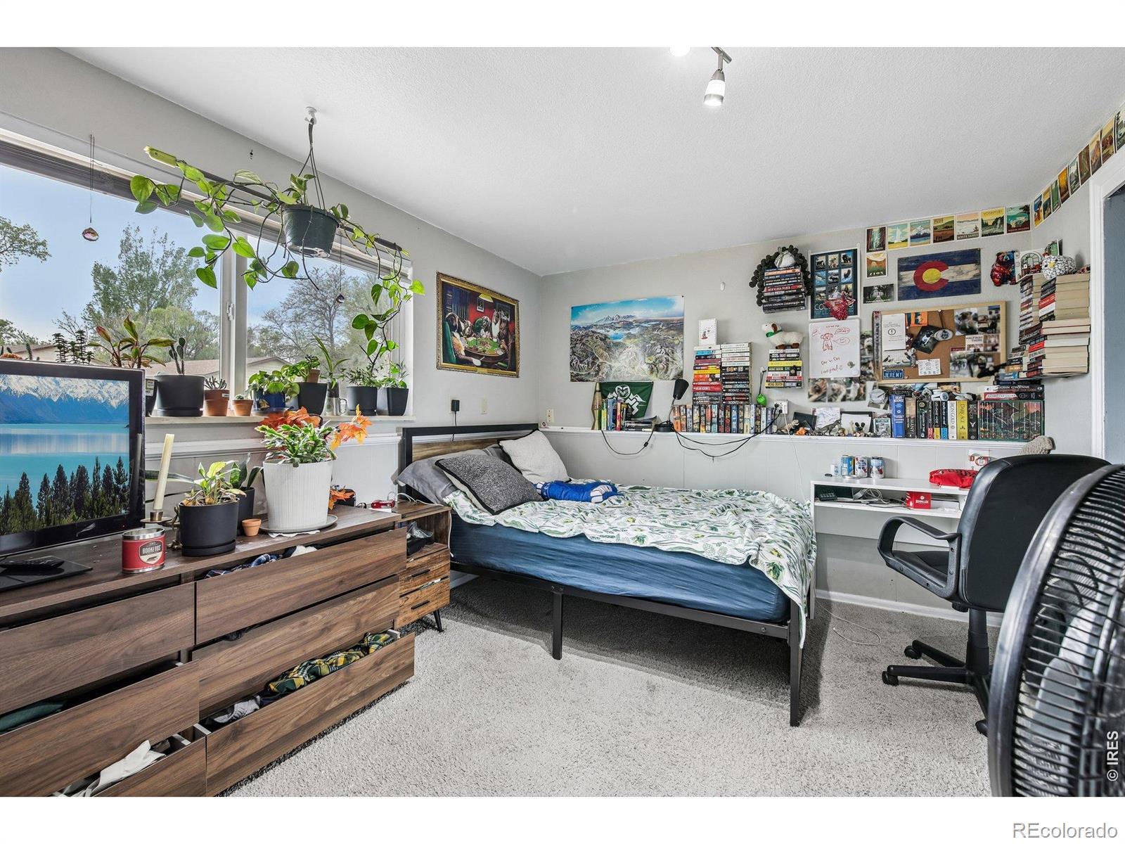 1720 Springfield Drive Fort Collins CO 80521