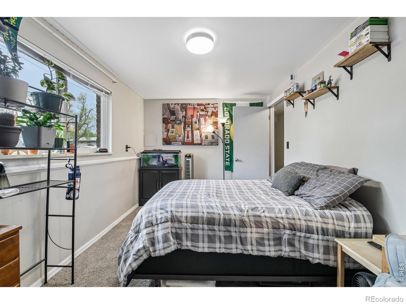 1720 Springfield Drive Fort Collins CO 80521
